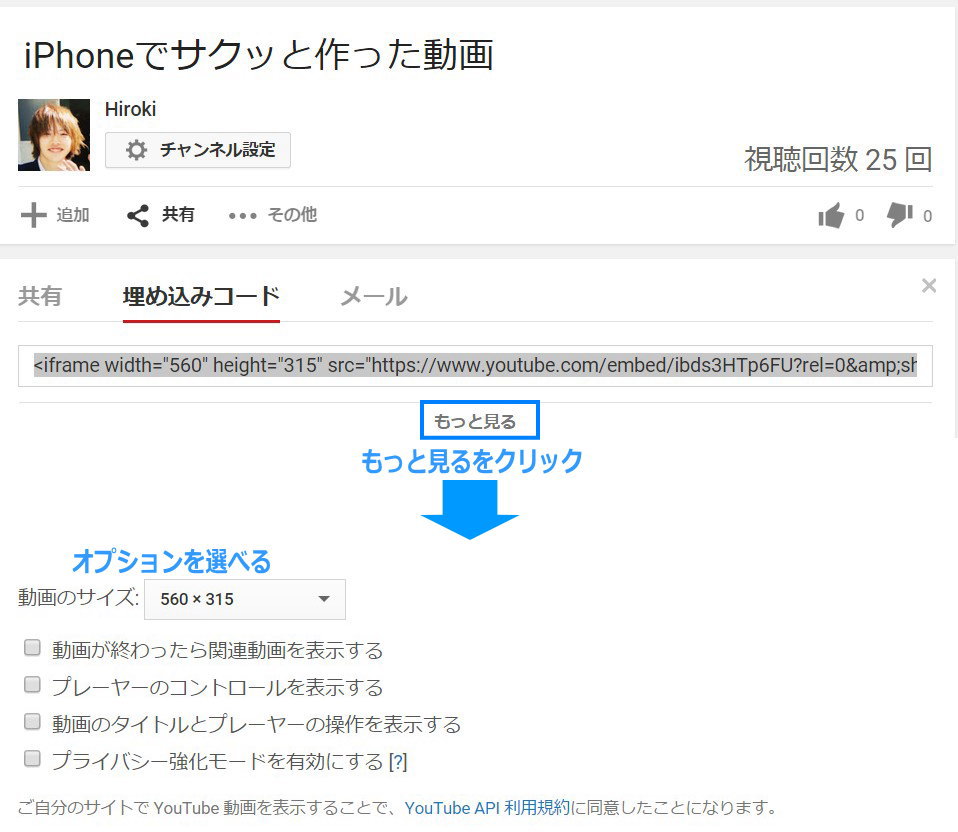 埋め込みオプション
