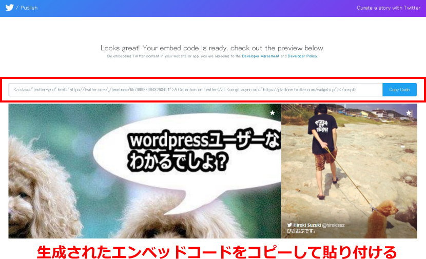 生成されたエンベッドコードをコピー