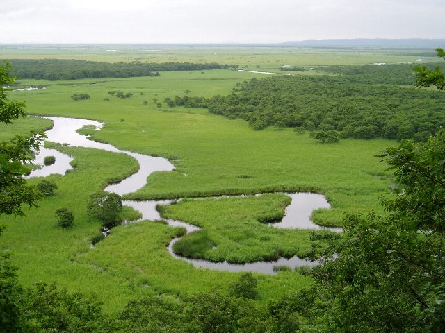 キラコタン沼