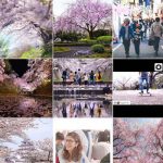 インスタグラム検索